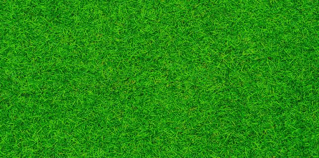 绿草背景，足球场