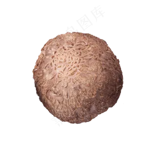 香菇（png免抠）