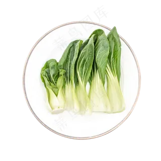 绿色蔬菜油菜 绿色蔬菜油菜