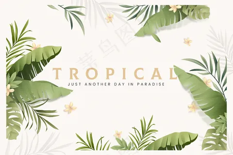 热带树叶背景