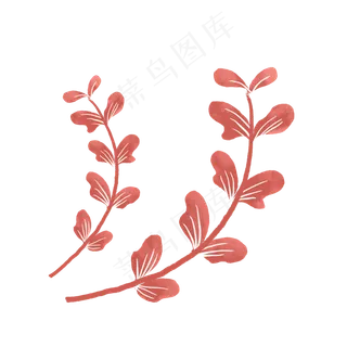 珊瑚红带茎植物红叶