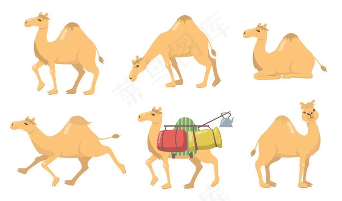 各种骆驼与一个驼峰平面图标集eps,ai矢量模版下载