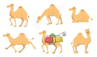 各种骆驼与一个驼峰平面图标集