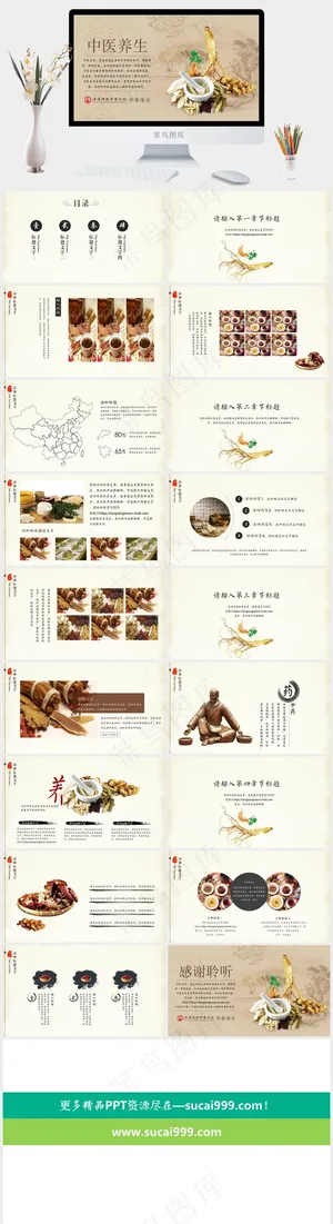 橘色橙色标准PPT模板