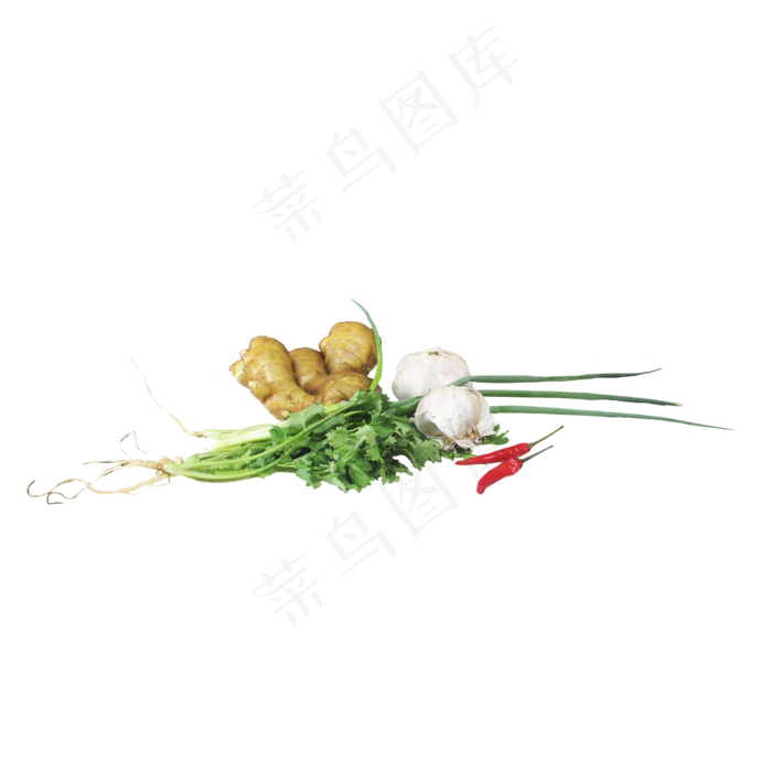 食材香菜葱姜大蒜辣椒(2000X2000(DPI:96))
