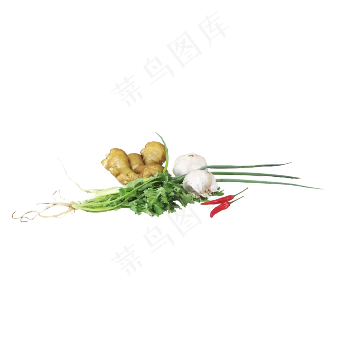 食材香菜葱姜大蒜辣椒(2000X2000(DPI:96))