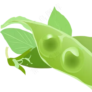 立秋绿色小清新唯美手绘卡通豌豆