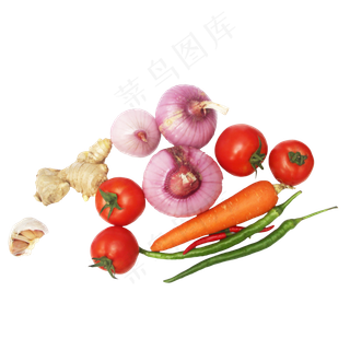 洋葱番茄姜辣椒胡萝卜