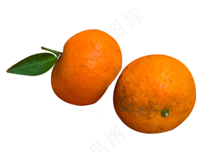 两个黄色水果橘子(1000X715(DPI:240))psd模版下载