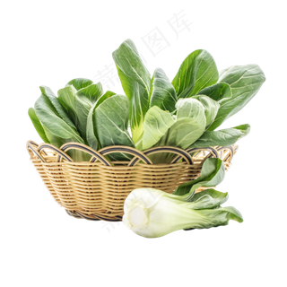 绿色蔬菜油菜 绿色蔬菜油菜