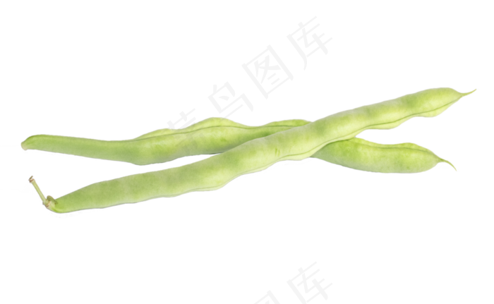 两根蔬菜豆角(3246*2000px 300 dpi )