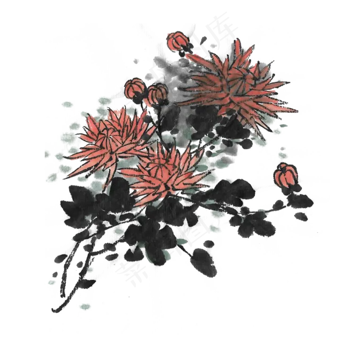 重阳节菊花花开(2000X2000(DPI:300))psd模版下载