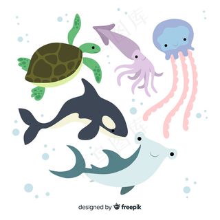 手绘海洋动物收藏