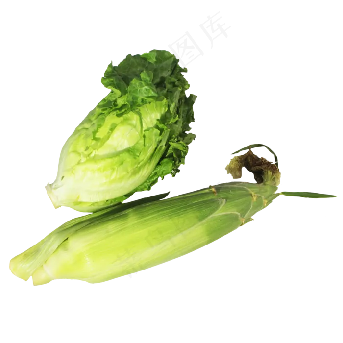 生菜玉米蔬菜组合(2000X3091(DPI:300))