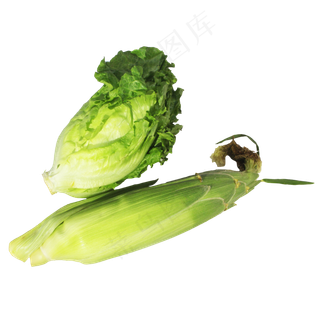 生菜玉米蔬菜组合