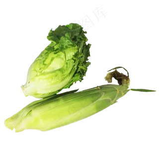 生菜玉米蔬菜组合 生菜玉米蔬菜组合