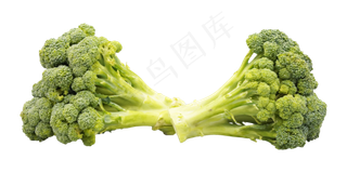 西蓝花蔬菜