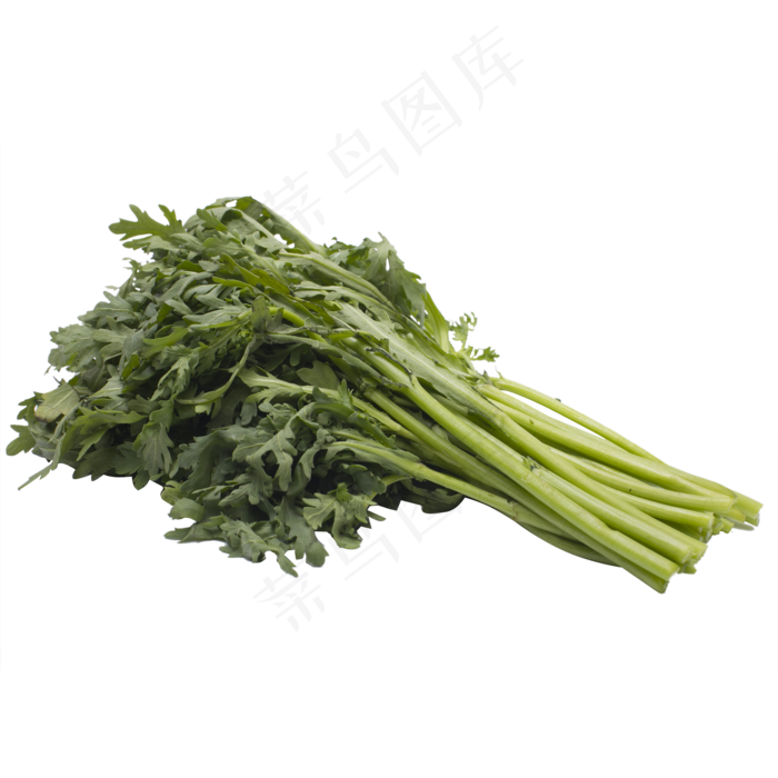 一把绿色茼蒿蔬菜实拍