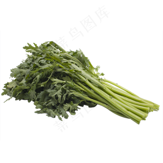 一把绿色茼蒿蔬菜实拍