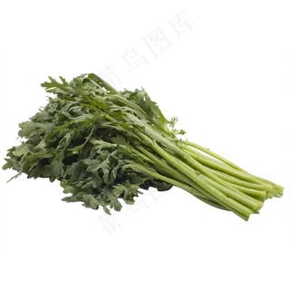一把绿色茼蒿蔬菜实拍 一把绿色茼蒿蔬菜实拍