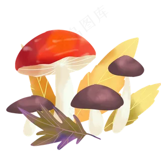 水彩秋季农作物蘑菇