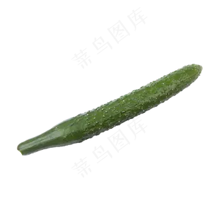 黄瓜(png免抠) 黄瓜(png免抠)
