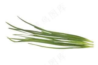 绿色韭菜食材