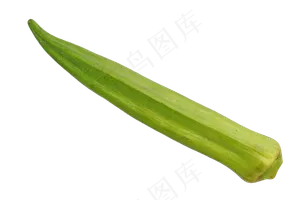 绿色蔬菜秋葵