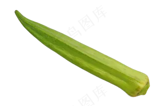 绿色蔬菜秋葵