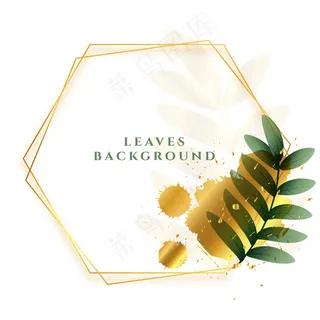 带有金色六边形框架的叶子背景
