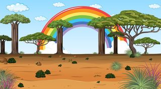 非洲大草原森林景观