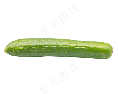 绿色有机黄瓜