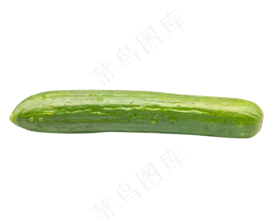 绿色有机黄瓜