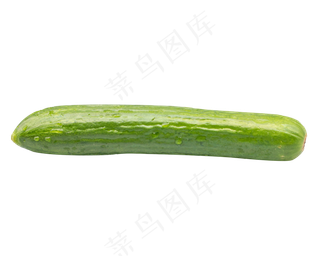 绿色有机黄瓜