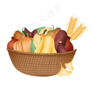 农作物果篮