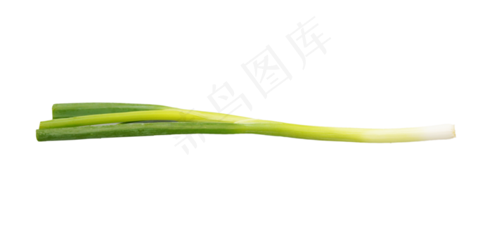绿色食材大葱(4000*2000px 300 dpi )