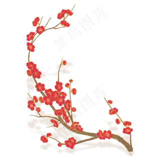 红色植物梅花