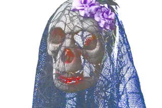 惊悚凶煞戴着头纱的骷髅头