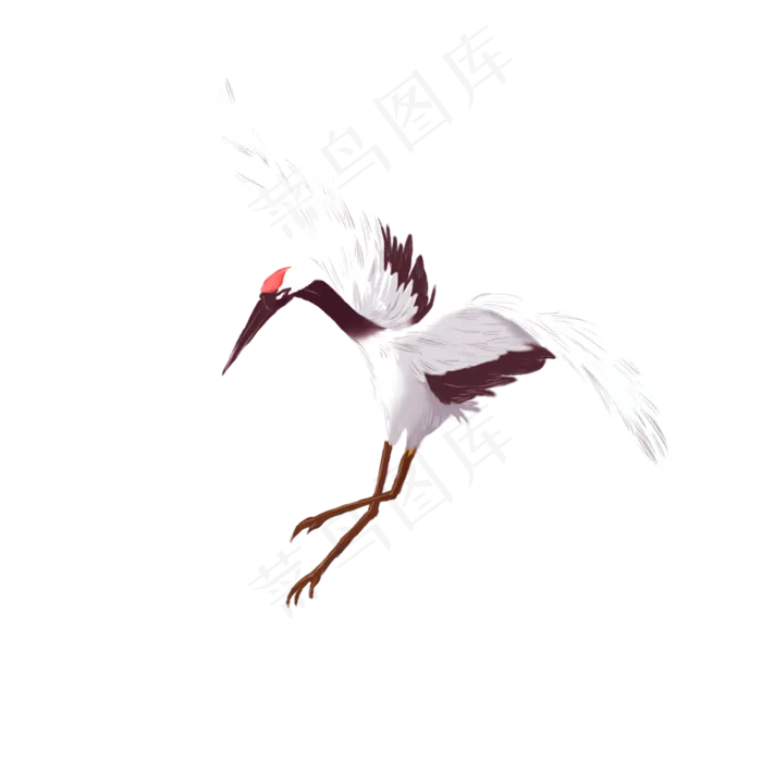飞翔的仙鹤(2000X2000(DPI:300))psd模版下载