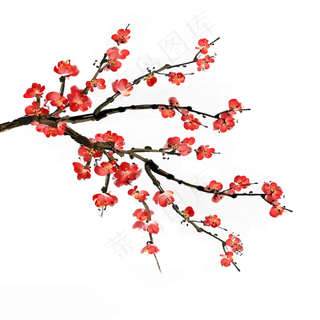 中国风花卉水墨梅花