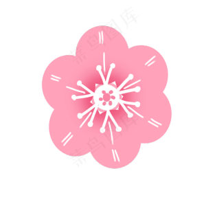 粉色梅花花瓣