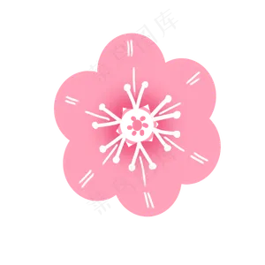 粉色梅花花瓣