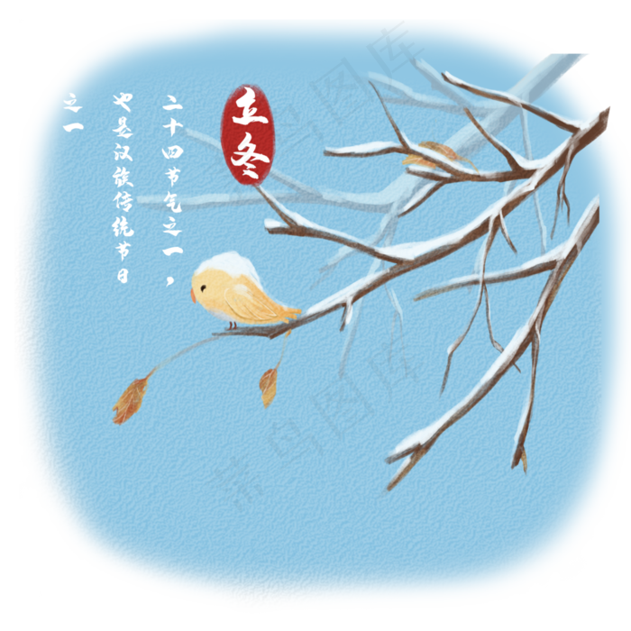 立冬节气落雪枯枝小鸟