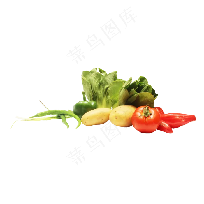 青菜葱辣椒土豆蔬菜组合(2000X2000(DPI:300))