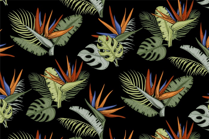 多彩热带花卉图案