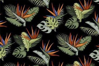 多彩热带花卉图案