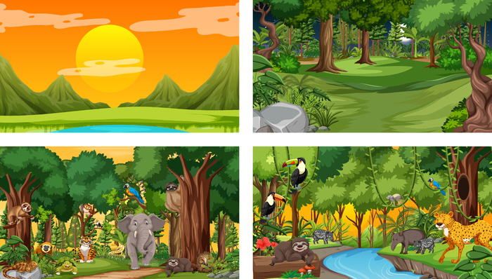 森林和雨林与野生动物的不同自然场景