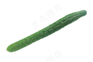 新鲜绿色黄瓜