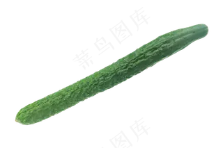 新鲜绿色黄瓜