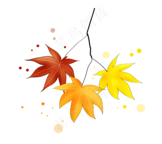 立秋古风三色枫叶